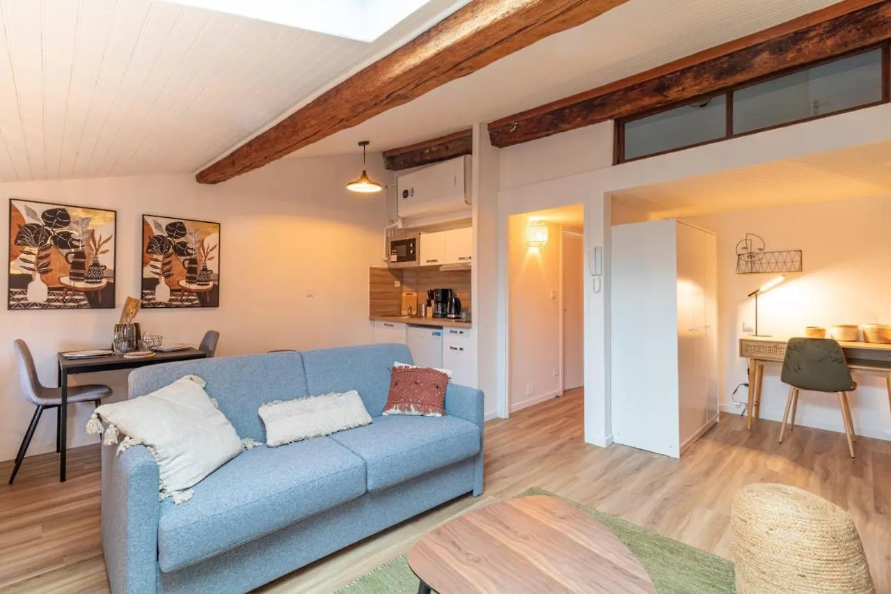 Pretty Haven Of Peace In Saint-Cyprien Apartman Toulouse