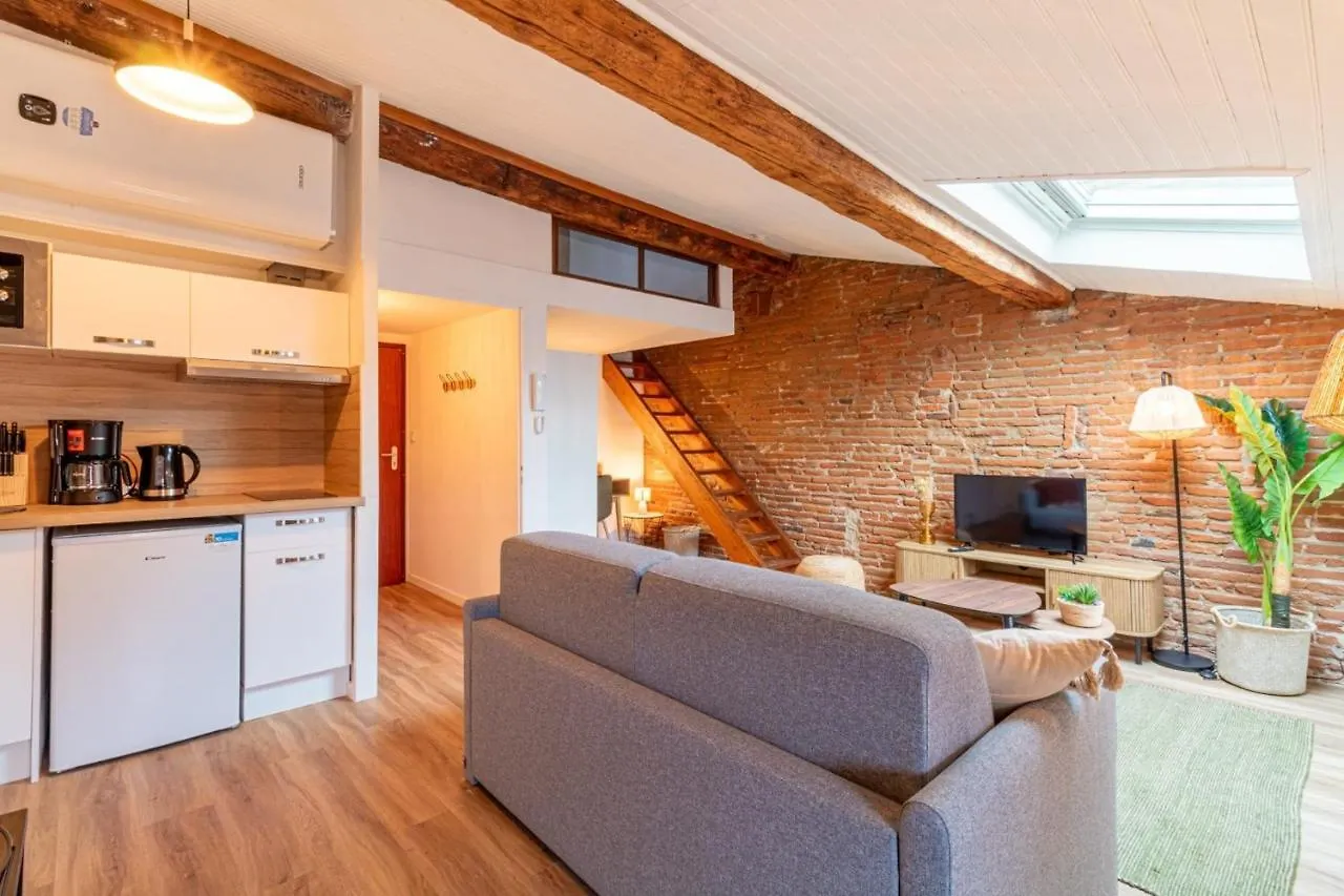 Pretty Haven Of Peace In Saint-Cyprien Apartman Toulouse Franciaország