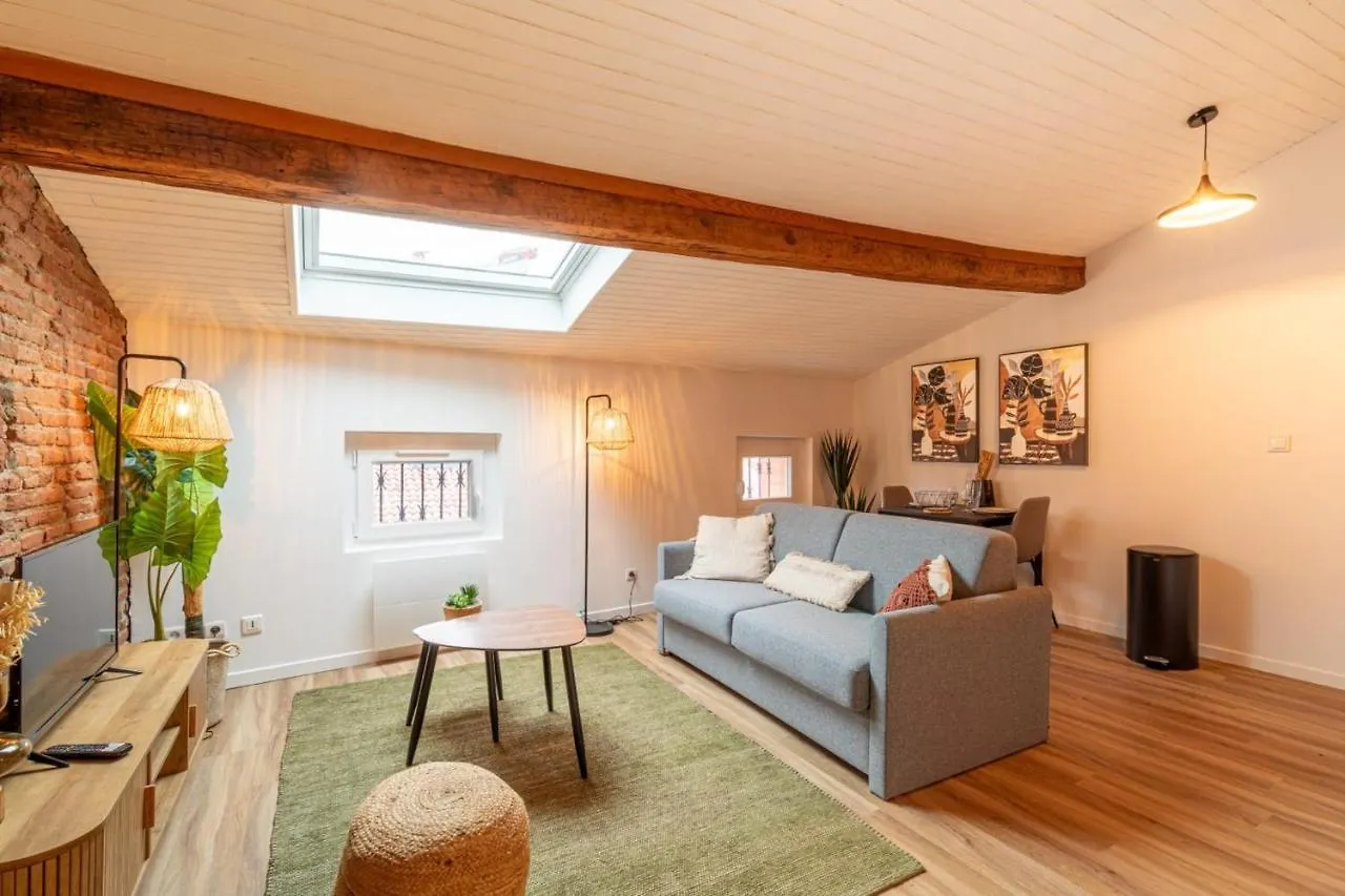 Pretty Haven Of Peace In Saint-Cyprien Apartman Toulouse