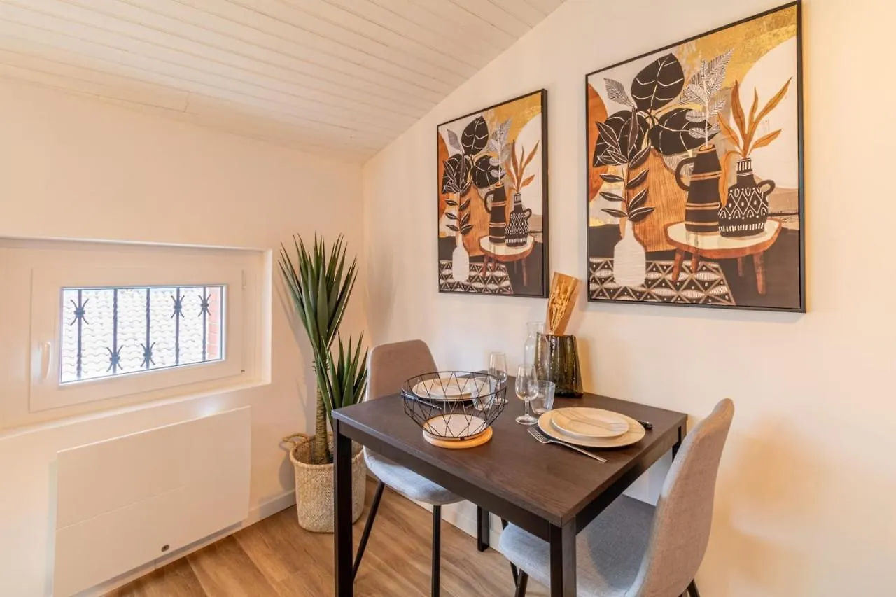 Pretty Haven Of Peace In Saint-Cyprien Apartman Toulouse